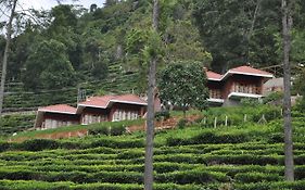 Hanging Huts Resorts